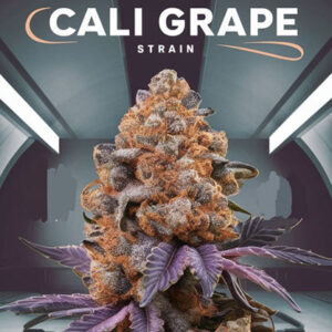 CALI GRAPE